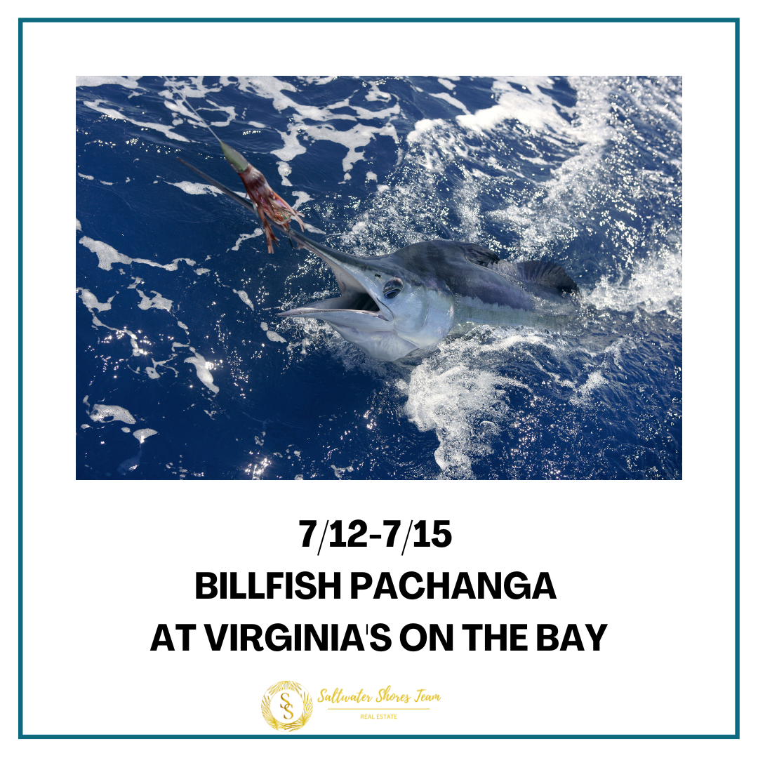 Billfish Pachanga