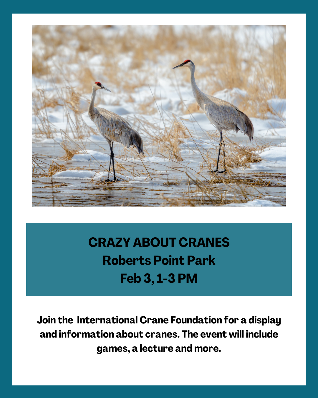 Crazy-About-Cranes-Saltwater-Shores-Team-Coldwell-Banker-Port-Aransas Whooping Crane Informational Event in Port Aransas