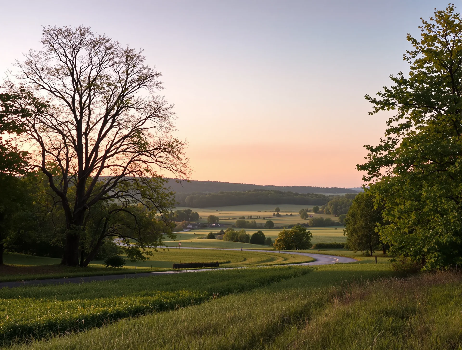 Quiet country road curving through trees and open fields near Birchwood, Tennessee