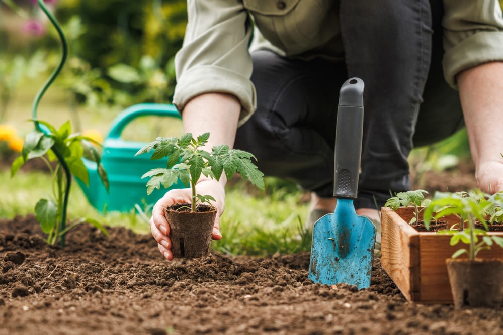 organic-gardening organic gardening