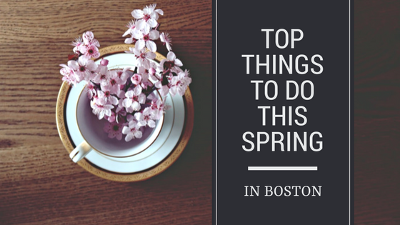 Top Things to do This Spring in Boston