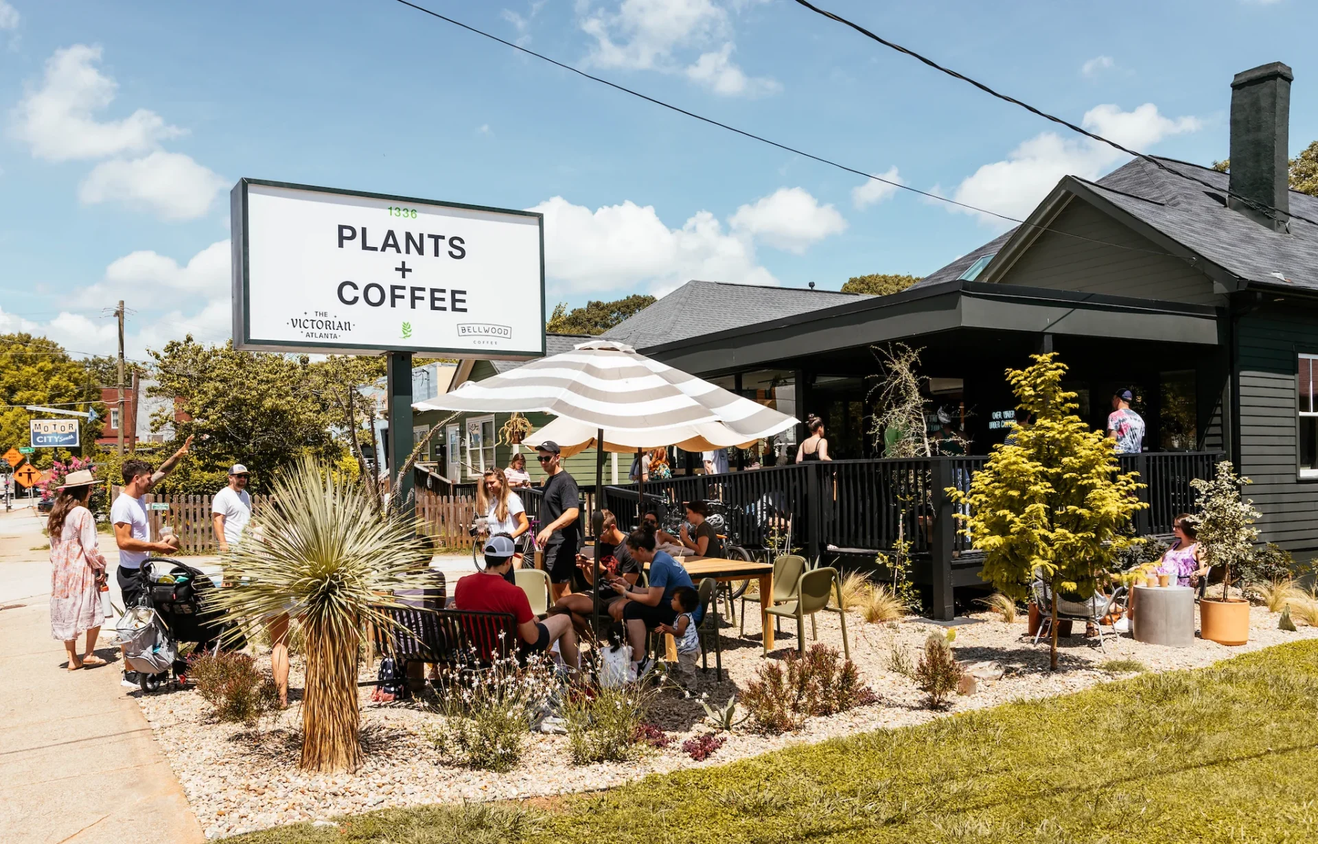 Plants+Coffee Plants + Coffee