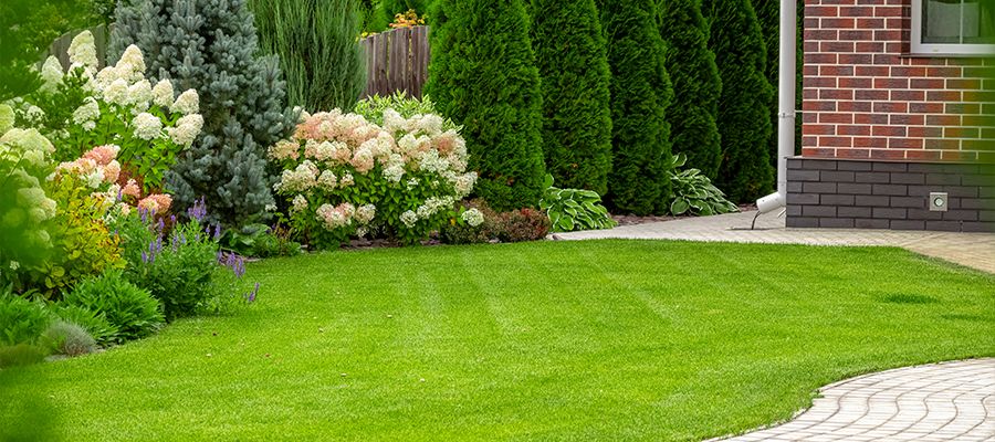 curb appeal selling home