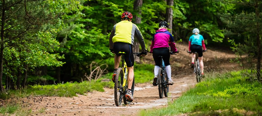 Walkability and Bikeability