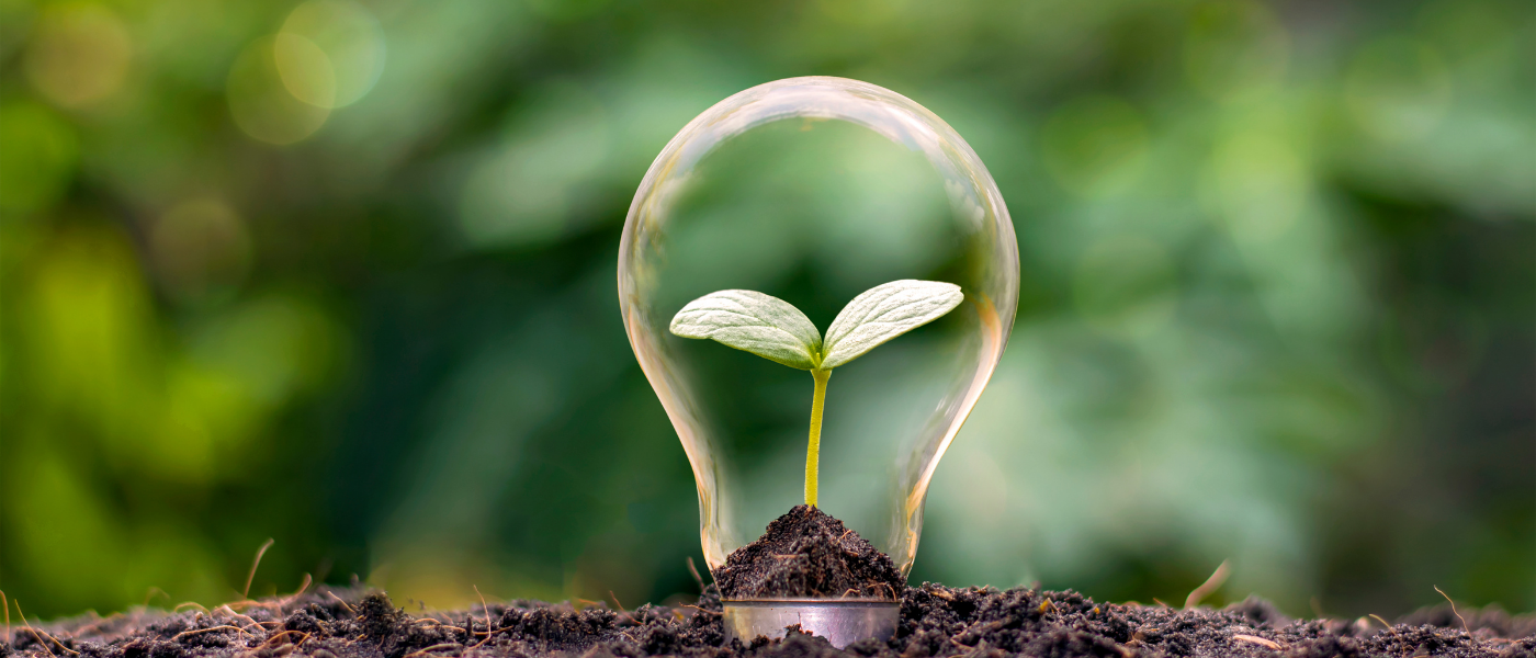 energy saving tips - lightbulb