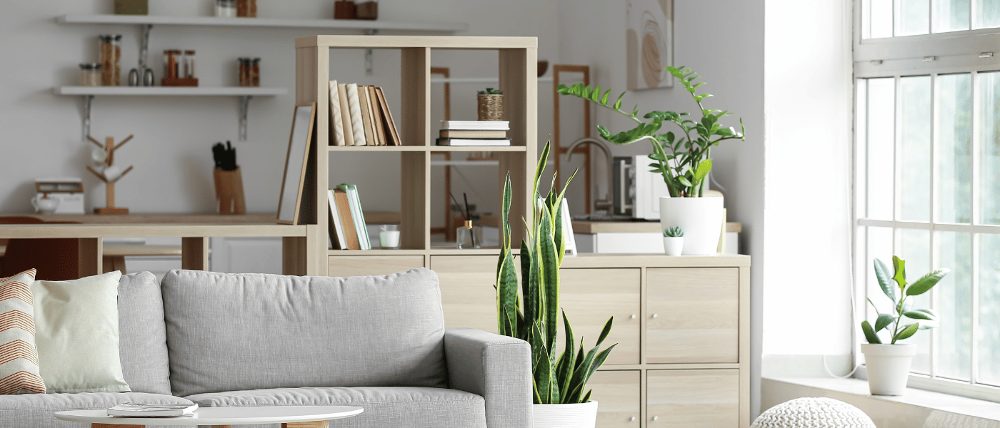 Storage to Hide Clutter