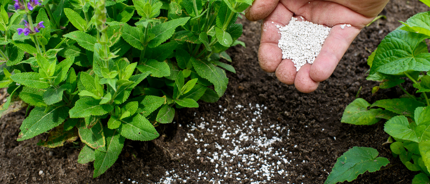 Revive Your Garden- fertilizer
