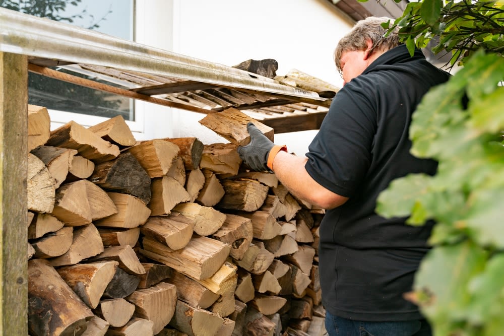 Inspecting-wood-for-fireplace Inspecting wood for fireplace