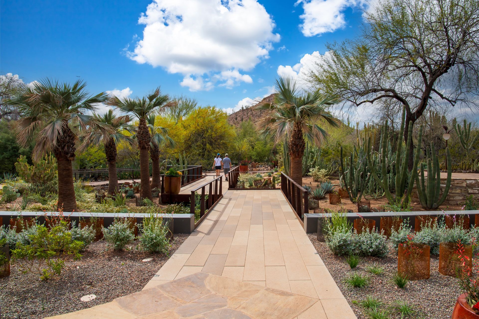 Desert Botanical Garden Desert Botanical Garden