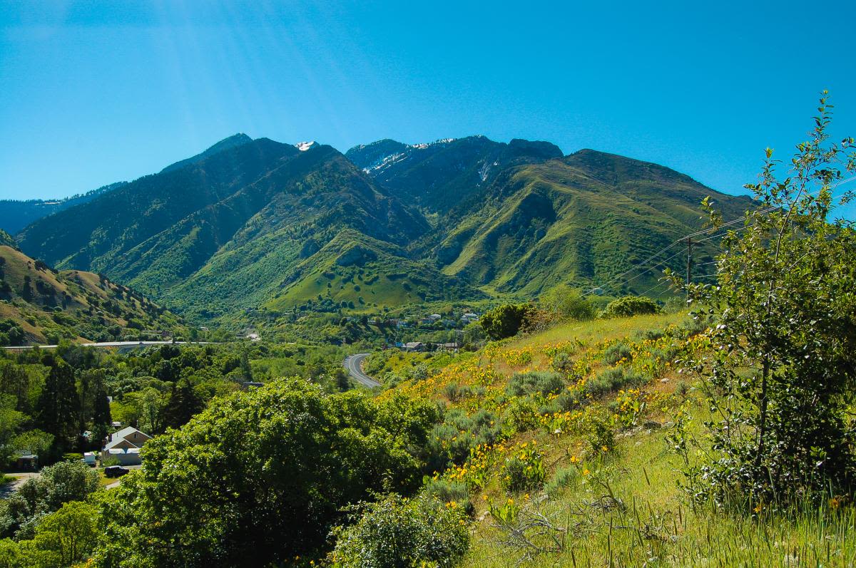 Cottonwood Heights Neighborhood in Salt Lake City