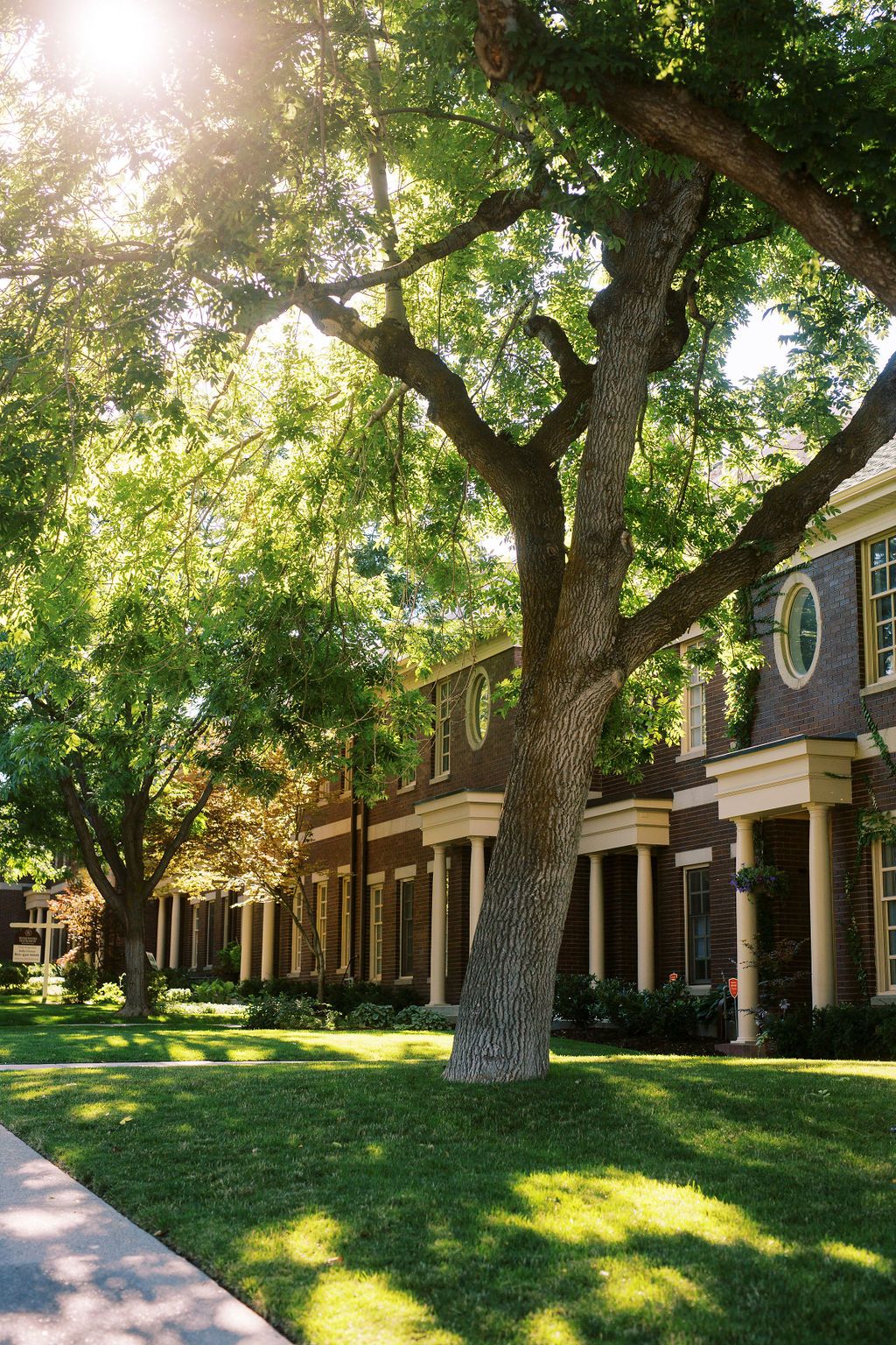 Best Neighborhoods in Salt Lake City a row of houses in the Avenues in Salt Lake City