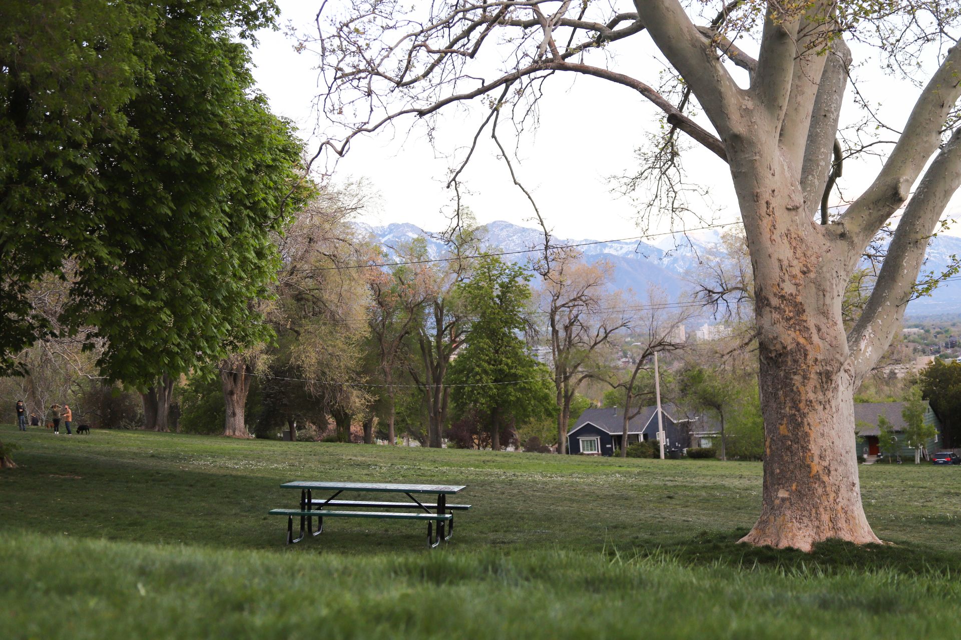 Lindsay Gardens Park Salt Lake City
