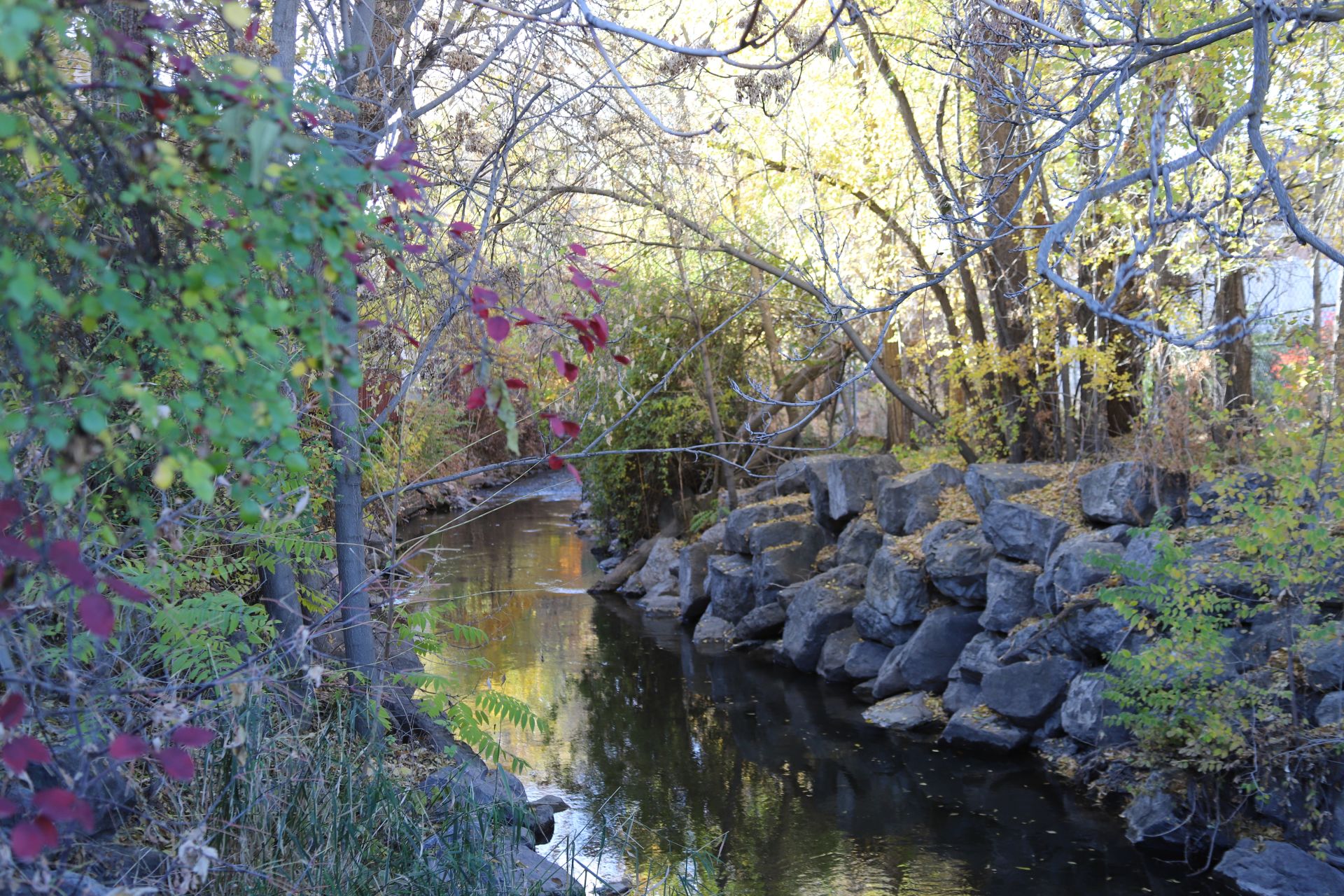 fitts park south salt lake