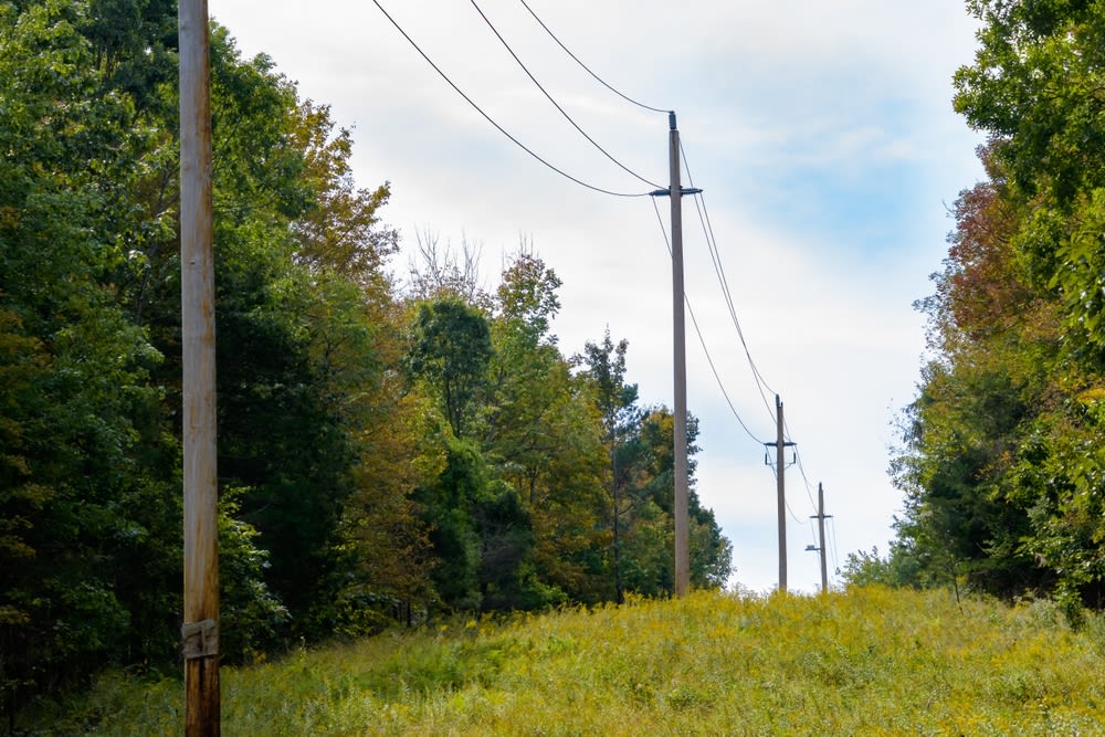 pillars-in-vacant-land pillars in vacant land