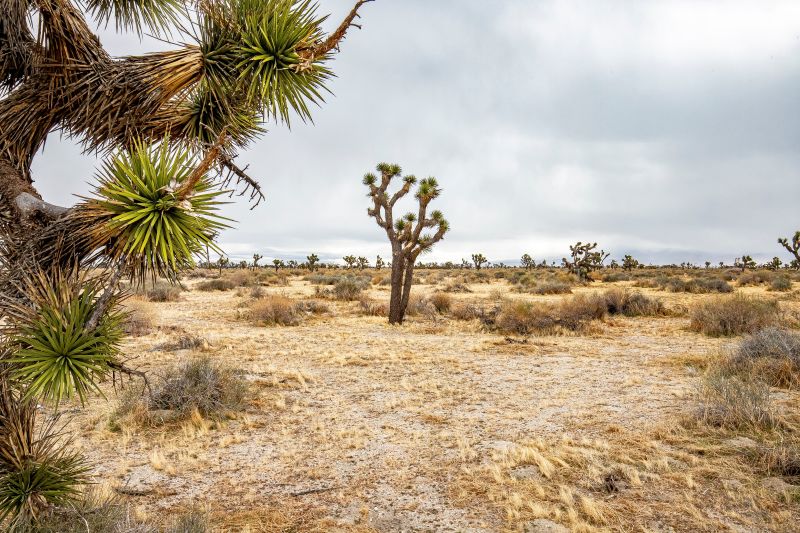 70th St E Near Avenue Q10 - Palmdale Land