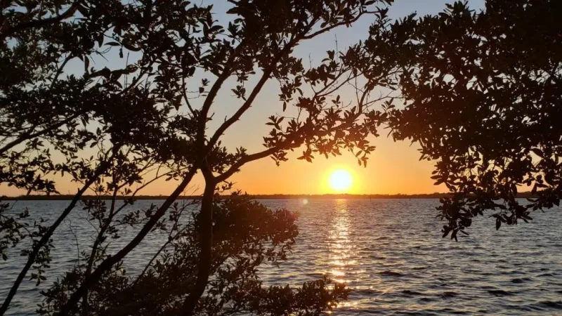 Beautiful Sunset
