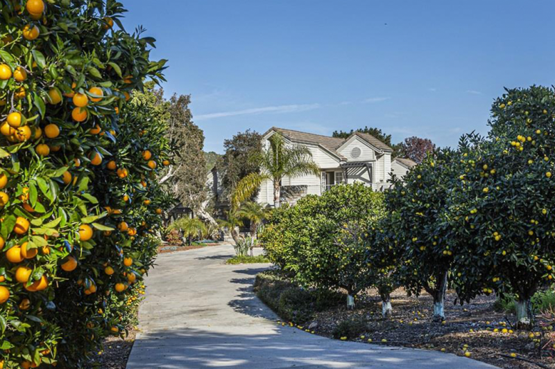 3241 Circa De Tierra