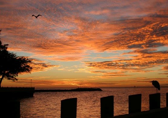 Daphne Sunset Over Water