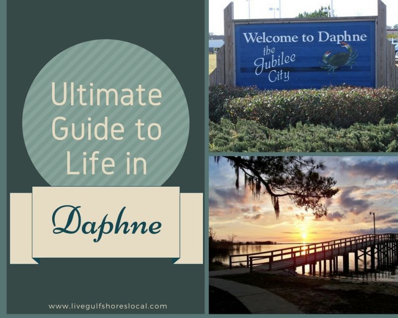 Daphne Ultimate Guide