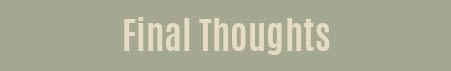 Final Thoughts