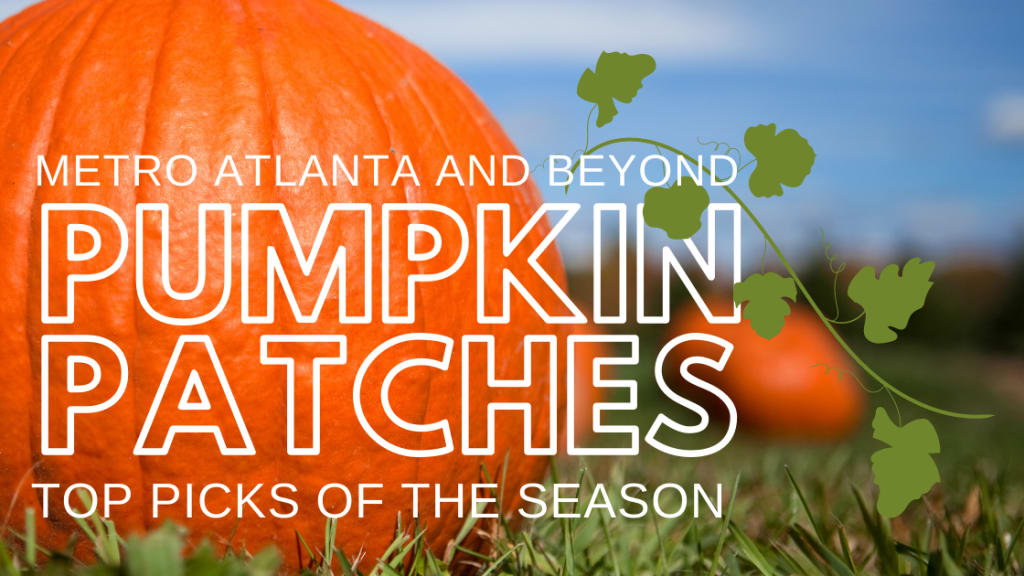 Metro Atlanta Pumpkin Patches inception-app-prod/MDU3MTAyMDAtYTMxYi00ZTc0LThjMGQtMzUyNTlmYzAwMDY1/content/2021/10/4960be048a54f4d8c7806bd9591e0fd49aab95f2.png