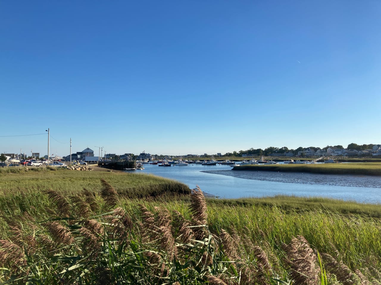Marshfield inception-app-prod/MTllYjFhNWQtNGZmOC00MGRiLWJmYjgtNTFmN2VkYmQ0ZjJi/content/2022/02/35213487b962a99e0bf3317d954afa36116834ec.jpg