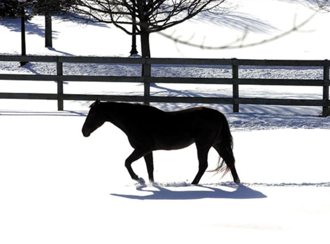 Colts Neck inception-app-prod/MzZhOGRhZDktZDI4ZC00MWQwLWE2MjMtOTdmYjUwZTRhYmRk/content/2021/12/63c55f92764f80ee2756d0d41224857c358f045a.jpg