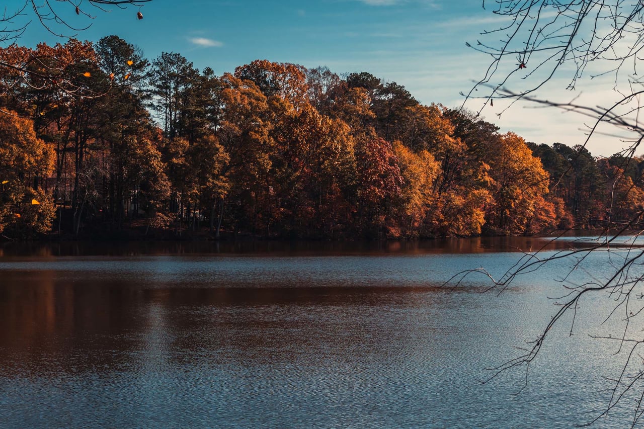Fayette inception-app-prod/NTJjOWZjMWQtMDIwOC00MGJjLTkwZmItMWM4ZmQ1ZTFmYWIx/content/2021/09/shutterstock_1927747508.jpg