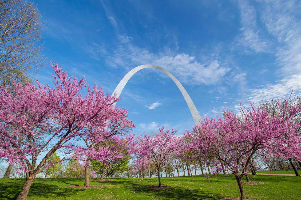 Clayton inception-app-prod/NTRhNjRhOGQtZTUxOS00YmI1LWI1YjctNGEyODRlY2IzMDE1/content/2021/01/shutterstock270828524.jpg