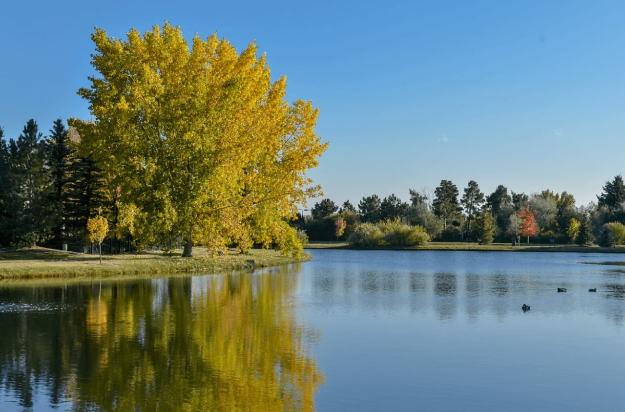 Cherry Hills Village inception-app-prod/NmFmNWQwNWItNGFiOS00YmZhLWFmMzQtMGI5NmU5OWU3OGEy/content/2021/11/fa896883012dc8a00e921f0208859de32c08348a.png