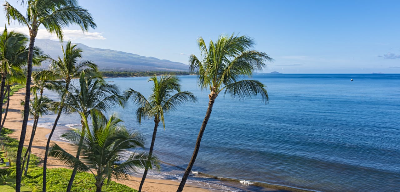 South Kihei inception-app-prod/ODI5NDFmNzAtYzE1My00YjA2LWI5MDktNmRiOTVkZmZhNzQ2/content/2021/02/3.png