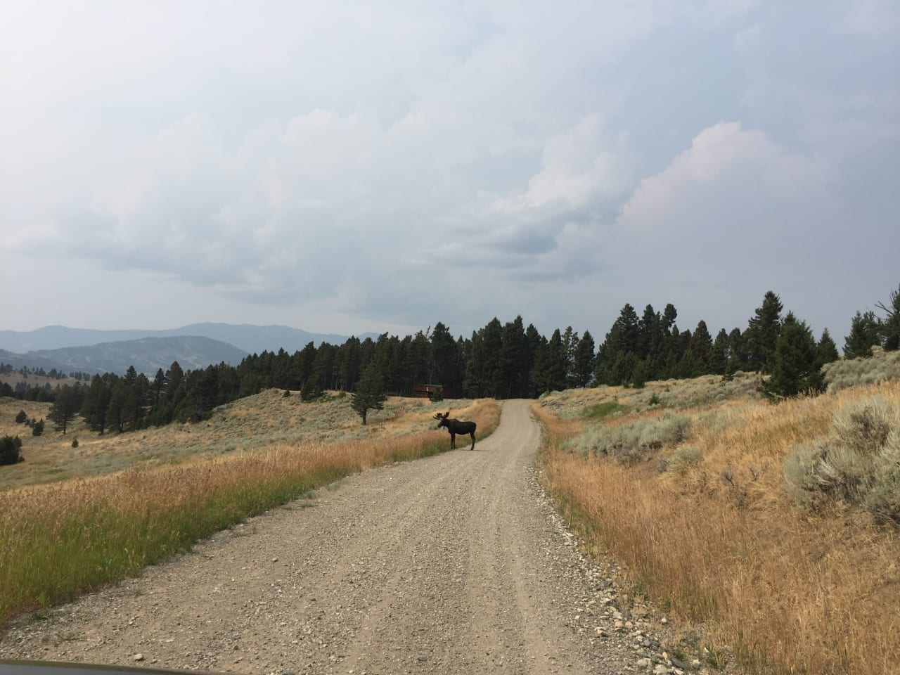 Three Forks Mt Homes for Sale inception-app-prod/ODczNDk2MmUtZjIyMi00NDc3LWI2NGItOWRmN2RhMDMxZjEz/content/2018/10/DF7DC137-917A-4EF0-933F-B396B44C0342.jpeg