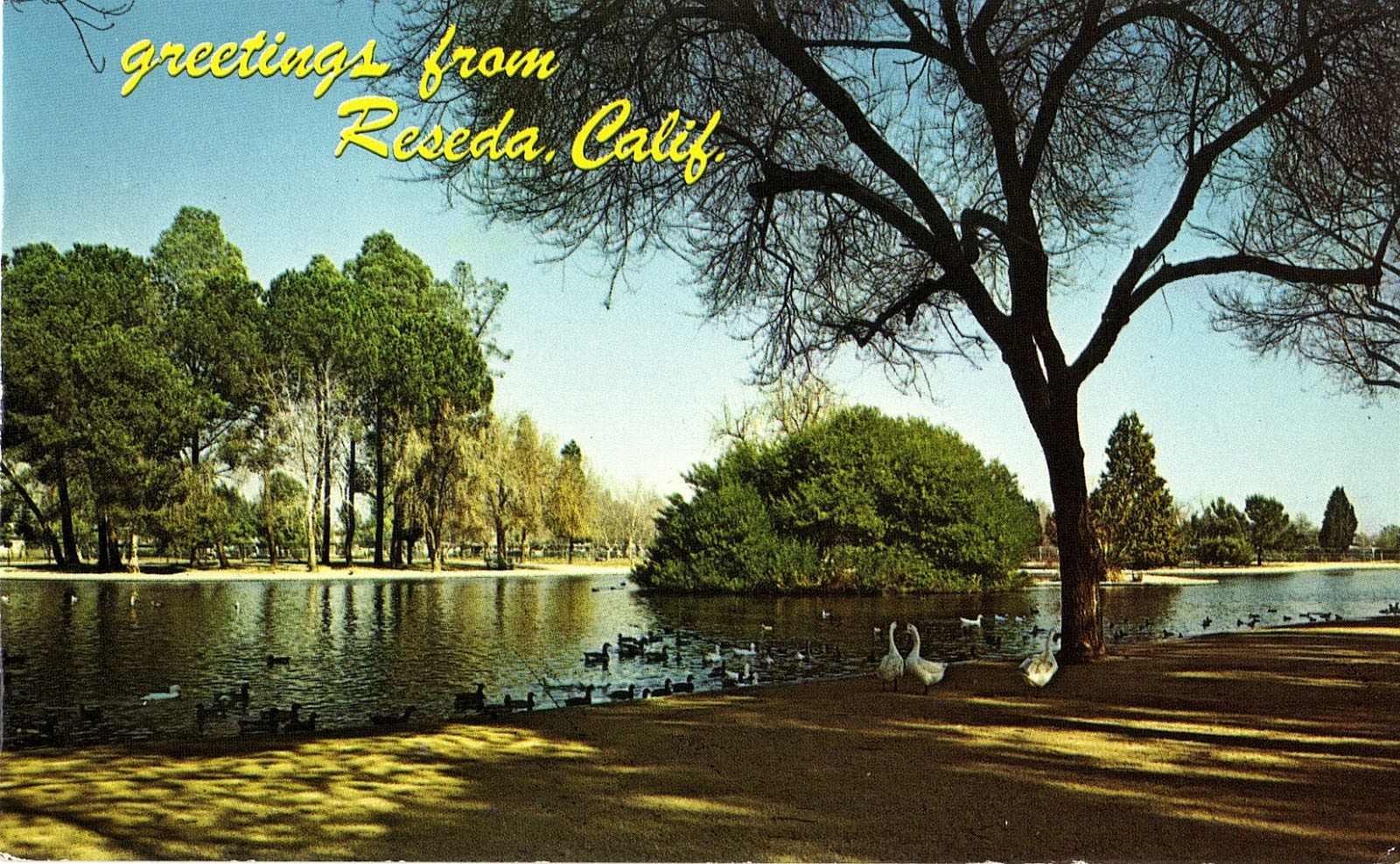 Reseda inception-app-prod/M2E3NmVlYzgtNzdjZi00OTBkLTkwZTEtZmM3ZmY1NDZlNGI1/content/2016/01/Reseda_Park_Lake.jpg