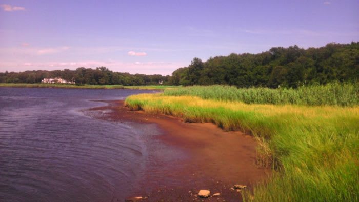 Dighton & Rehoboth, MA inception-app-prod/MmY4MzAzNTItZTUwZC00NmEzLWE3MzktYzUyNTI1NmM0MmE0/content/2019/07/Dighton.jpg