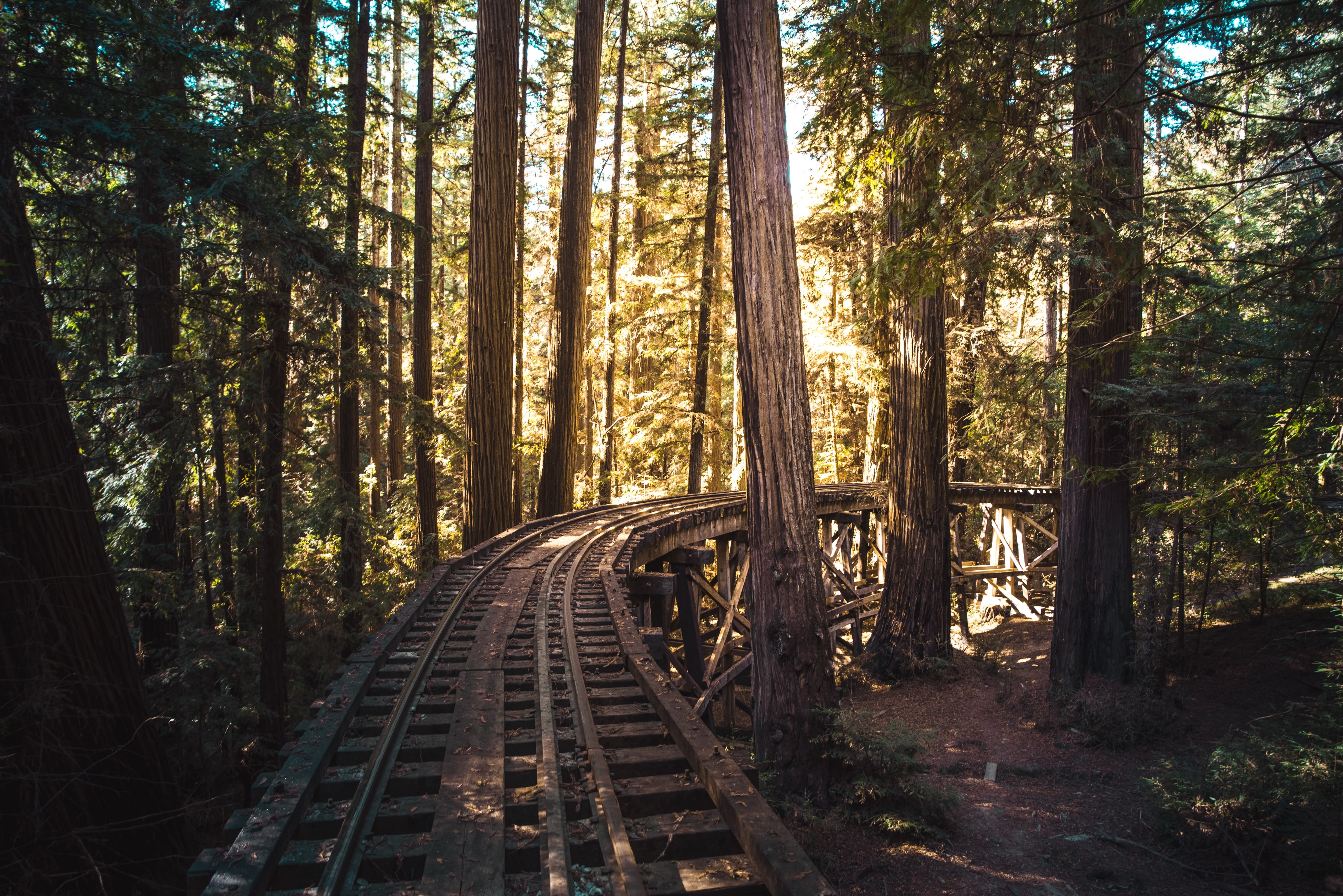 FELTON inception-app-prod/MzNhYTIwZTEtOWI0MC00ODk3LWFjODAtYmZhOTNmNmUxNjVj/content/2020/08/casey-horner-t1uvycb6vp4-unsplash.jpg