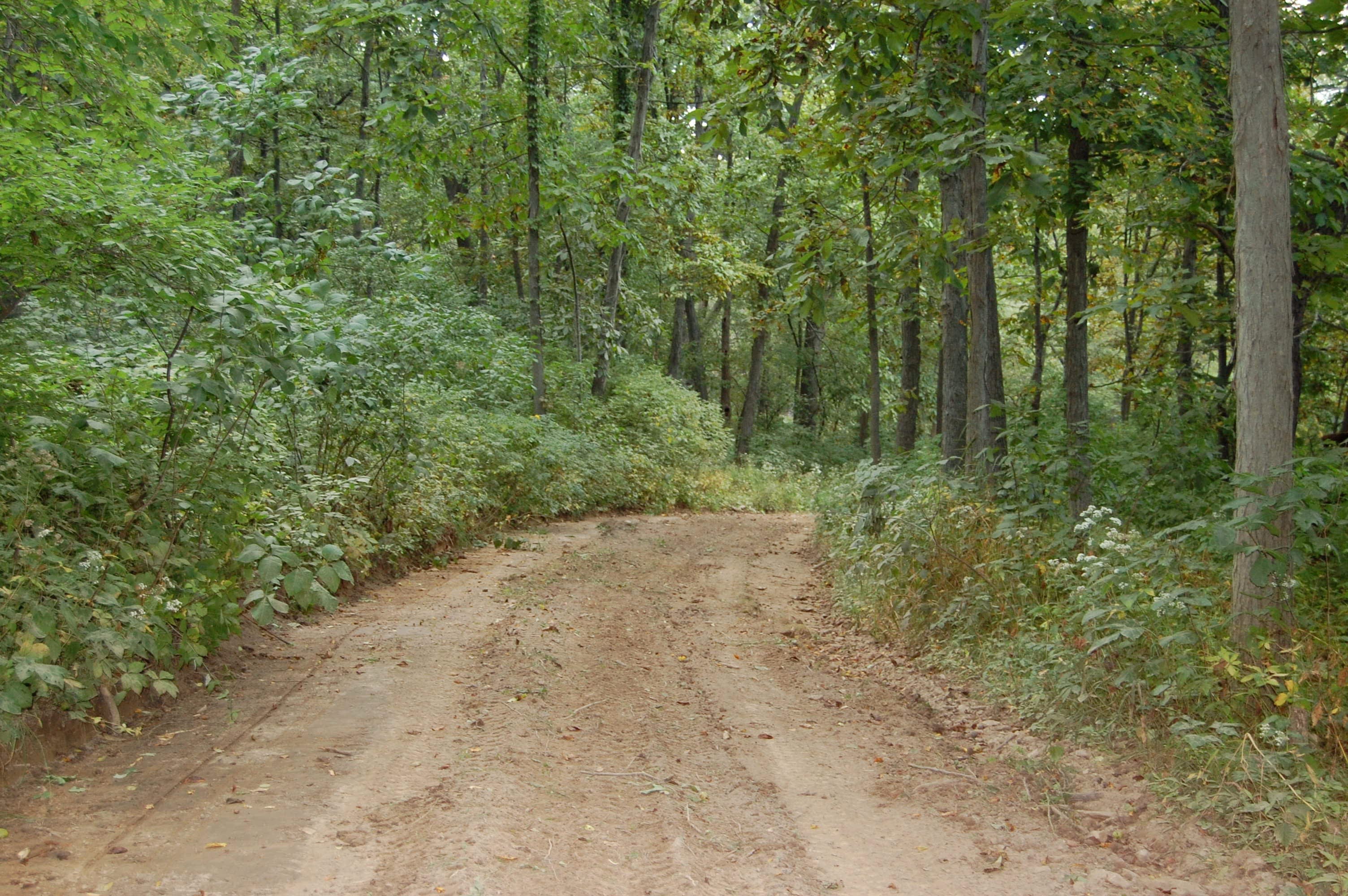 Lake Carroll Trail System inception-app-prod/N2FmZDQ1ZjgtY2I0NS00NDlkLWFlNzktOTFmZDY2Mjk5OGM5/content/2020/09/trailshot.jpg