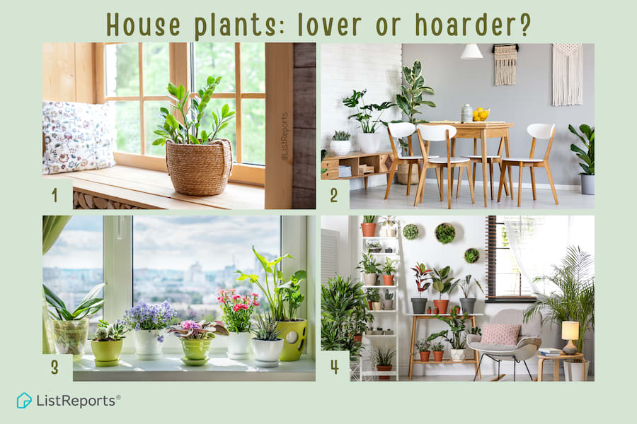 House plants, lover or hoarder? inception-app-prod/NDViOTJmZmMtNzhjYy00MTcxLTg1NmItNjY1YzhhZWEzYjAx/content/2021/02/plant-lover-2.png