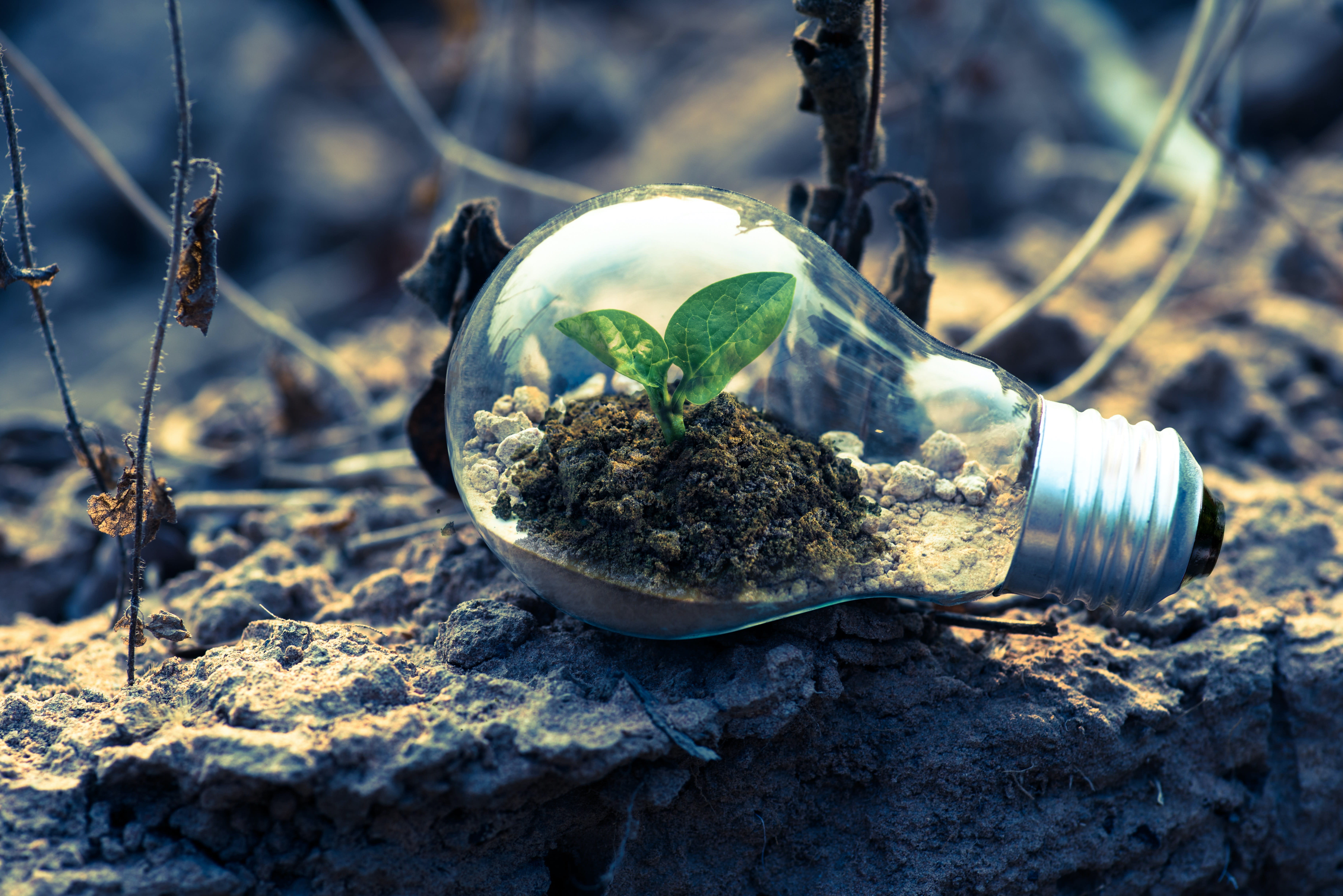 Environmental Services inception-app-prod/NjNlOTFlODgtYjI2MC00YmZkLTljMjItMjM5ZmNmNmQ5NDE2/content/2020/12/pexels-singkham-1108572.jpg