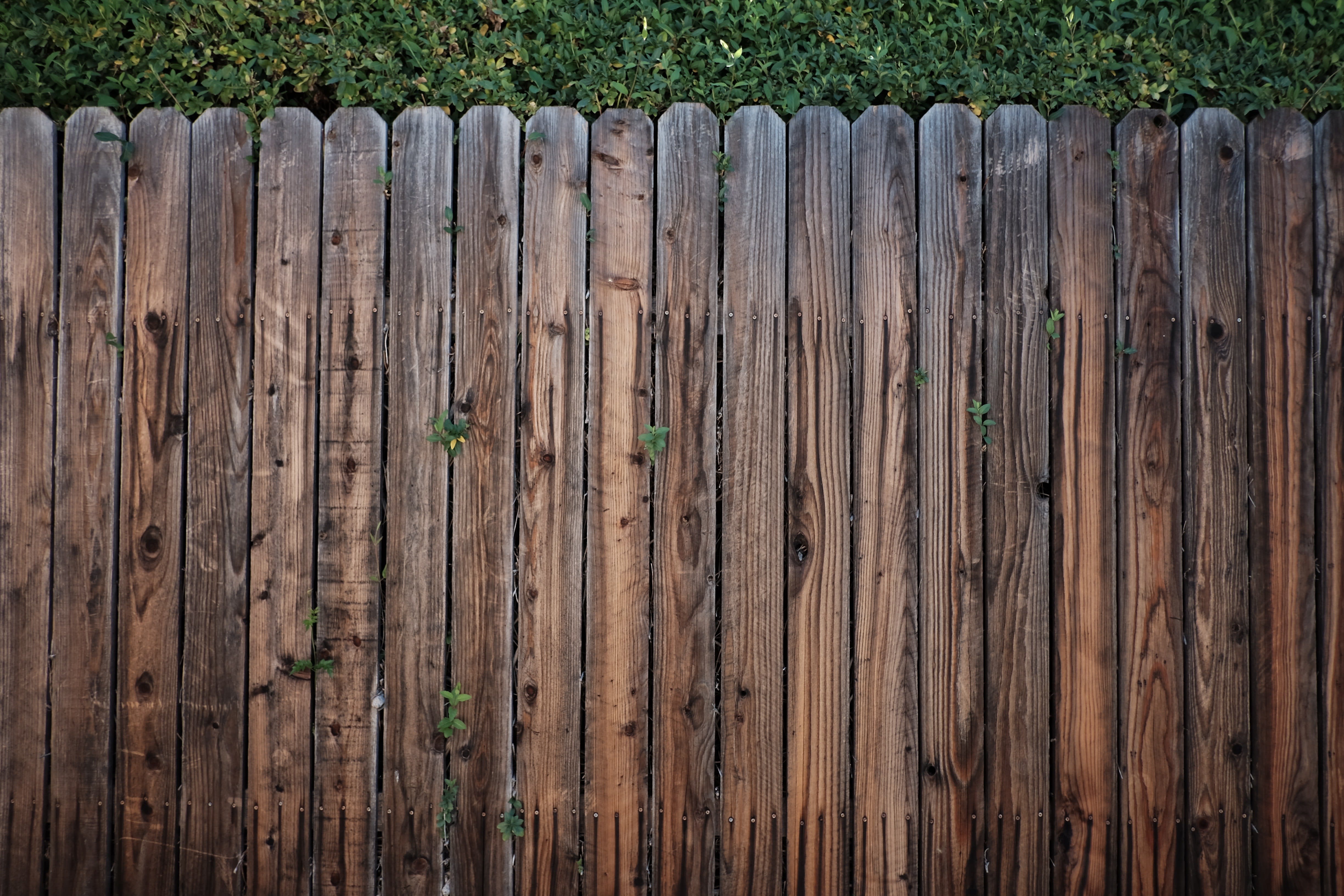 Fencing Companies inception-app-prod/NjNlOTFlODgtYjI2MC00YmZkLTljMjItMjM5ZmNmNmQ5NDE2/content/2020/12/pexels-snapwire-113726.jpg