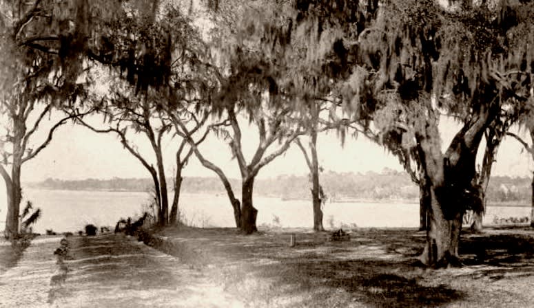St. Nicholas / Sans Souci inception-app-prod/NjQzZWI1MGYtMjg5My00ZDRjLTkzODQtMWI2ZTc2ZjgyNDAz/content/2021/06/arlington-river-view-from-st-nicholas-1895.jpg