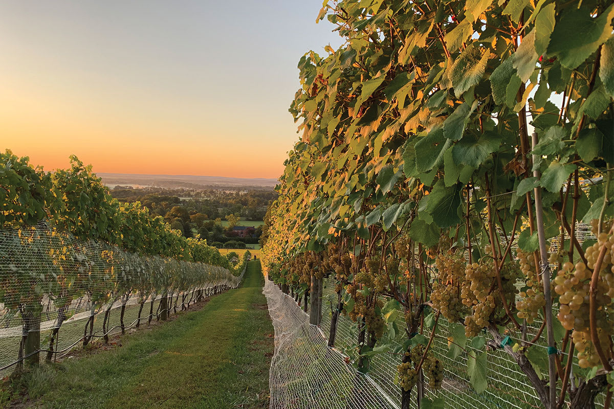 Loudoun County, Virginia inception-app-prod/NmM4MzM1NjAtZGJmNS00MGE1LTliOGItMjk2NGUyMmY4ZGI2/content/2021/04/loudoun.jpg