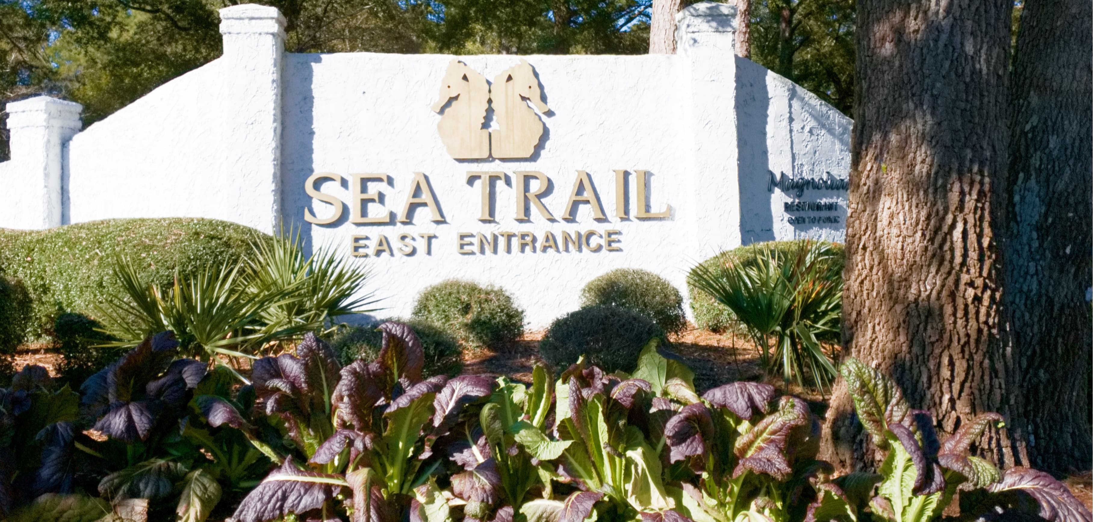 Sea Trail Plantation inception-app-prod/NzNlMjVjZTAtOWE4ZS00MGI4LTgyYTAtN2Y4ZTc0YjA5OWYz/content/2020/09/seatrail-3-2-2-2.jpg