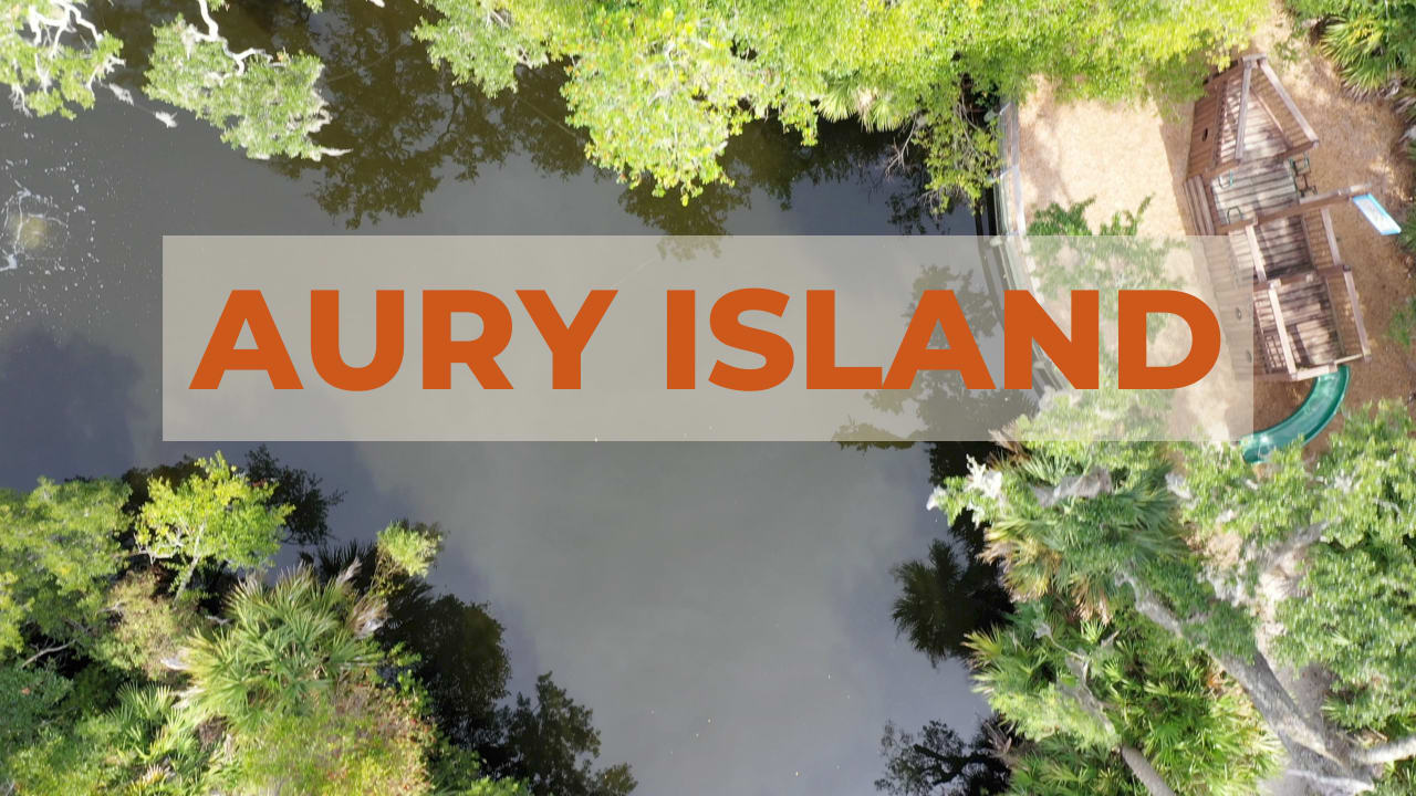 Aury Island | Live Amelia | Amelia Island Plantation inception-app-prod/ODZmYmE2Y2UtYmYyYy00ZmE2LTlhZGYtMWMxZTIwNmY4YmUz/content/2019/10/add-a-heading.png