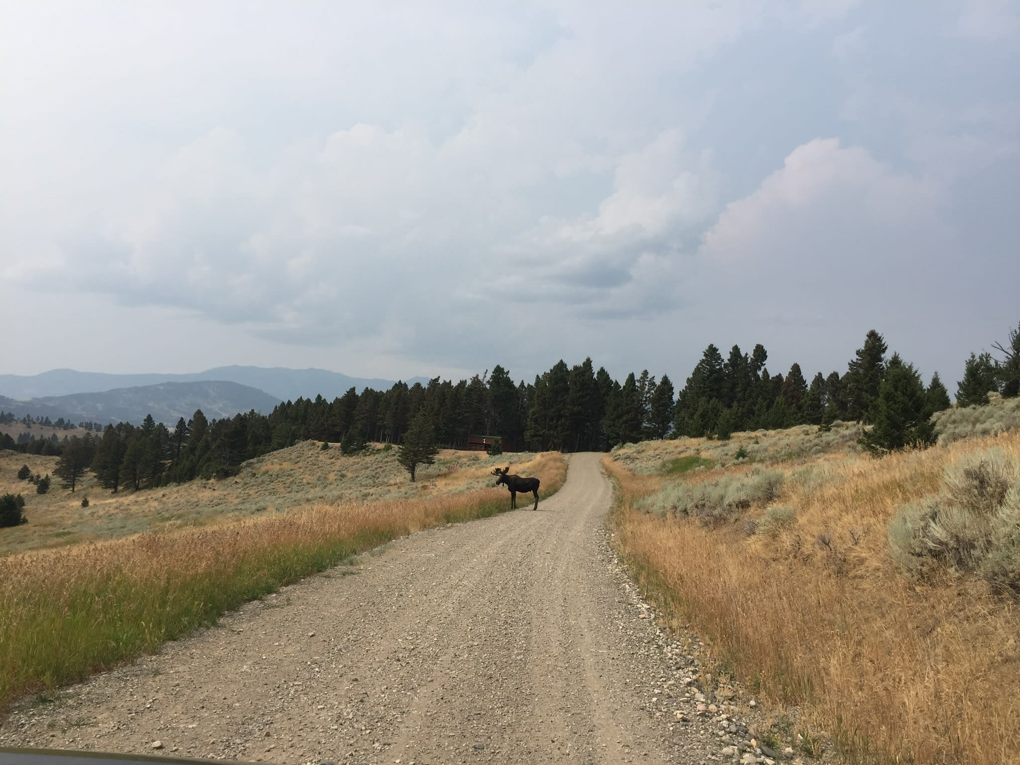 Three Forks Mt Homes for Sale inception-app-prod/ODczNDk2MmUtZjIyMi00NDc3LWI2NGItOWRmN2RhMDMxZjEz/content/2018/10/DF7DC137-917A-4EF0-933F-B396B44C0342.jpeg