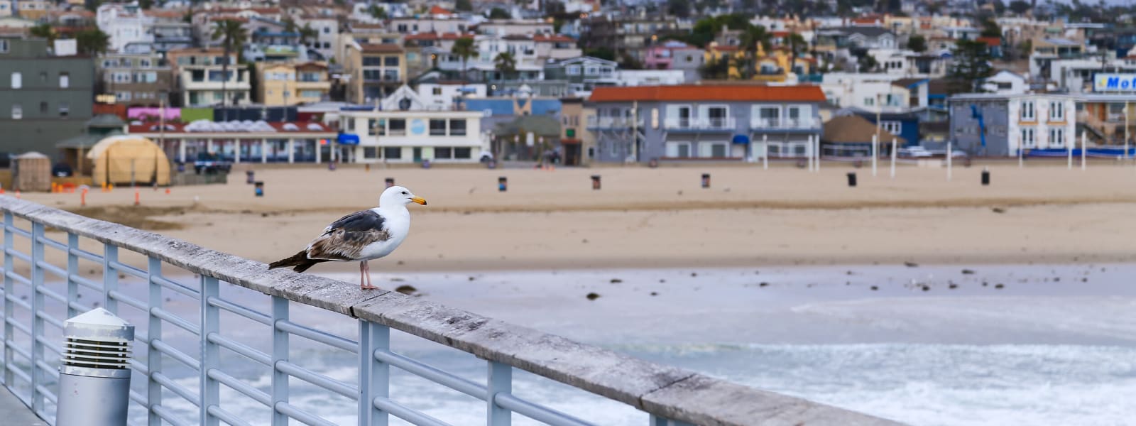 Hermosa Beach Homes inception-app-prod/OWRkODMyNjAtNWNjNS00NWQwLWEzMjMtMjQ4Y2Q0MThlMjE3/content/2020/06/websitebanner-hermosa.png