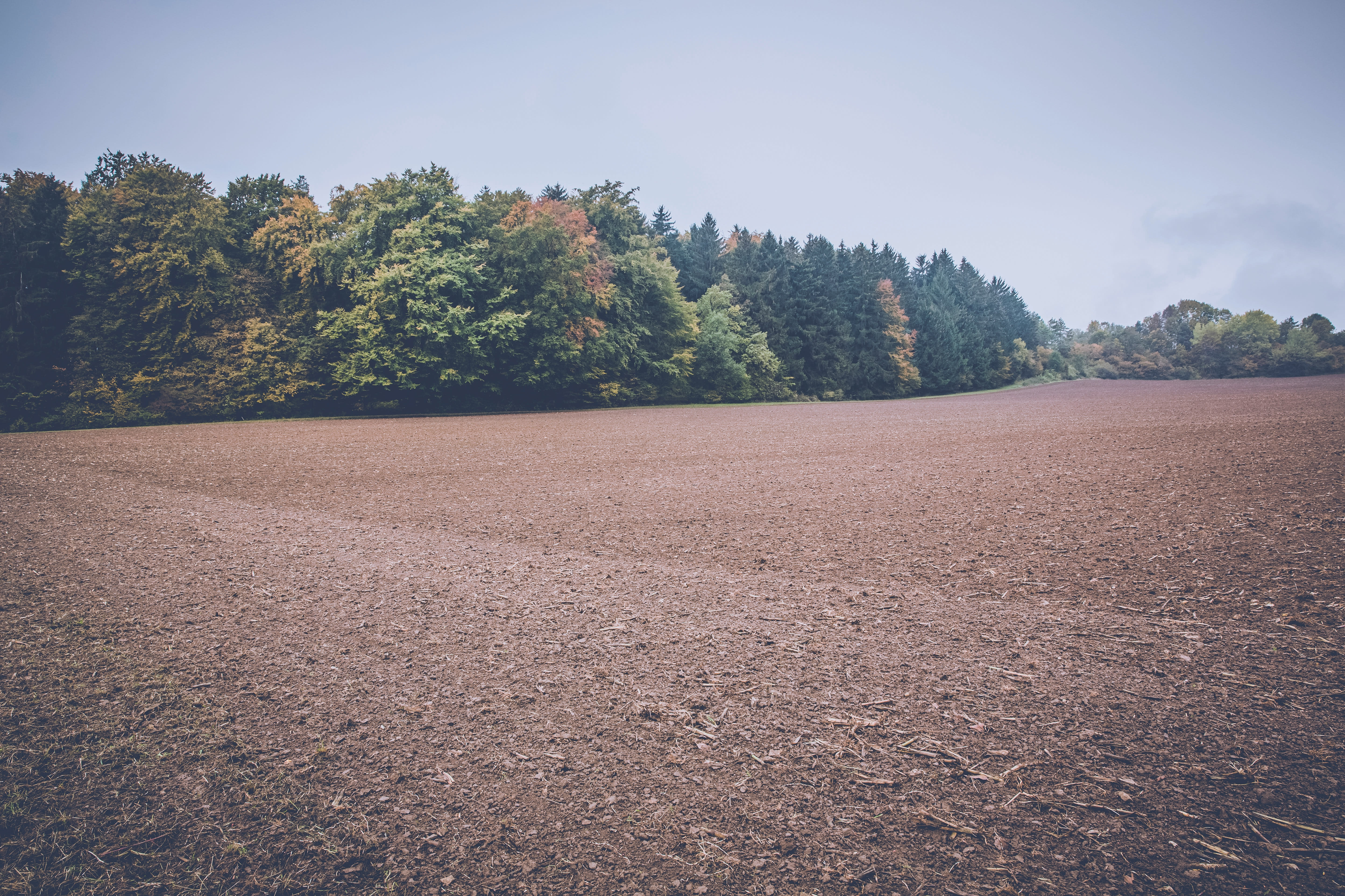 Franklin County inception-app-prod/YjcyZDMzODMtN2EzMC00YzgzLWFiYjgtODEzZjExMTUzMjI2/content/2021/01/pexels-markus-spiske-102728.jpg