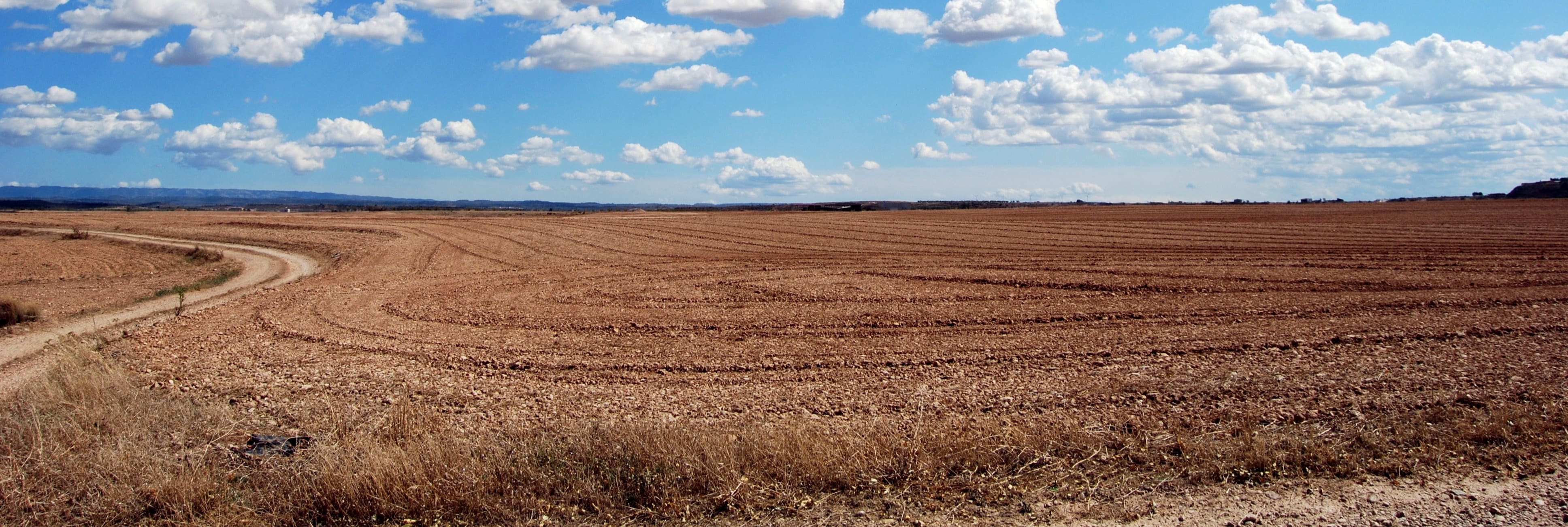 Delaware County inception-app-prod/YjcyZDMzODMtN2EzMC00YzgzLWFiYjgtODEzZjExMTUzMjI2/content/2021/01/pexels-pixabay-46160-2.jpg
