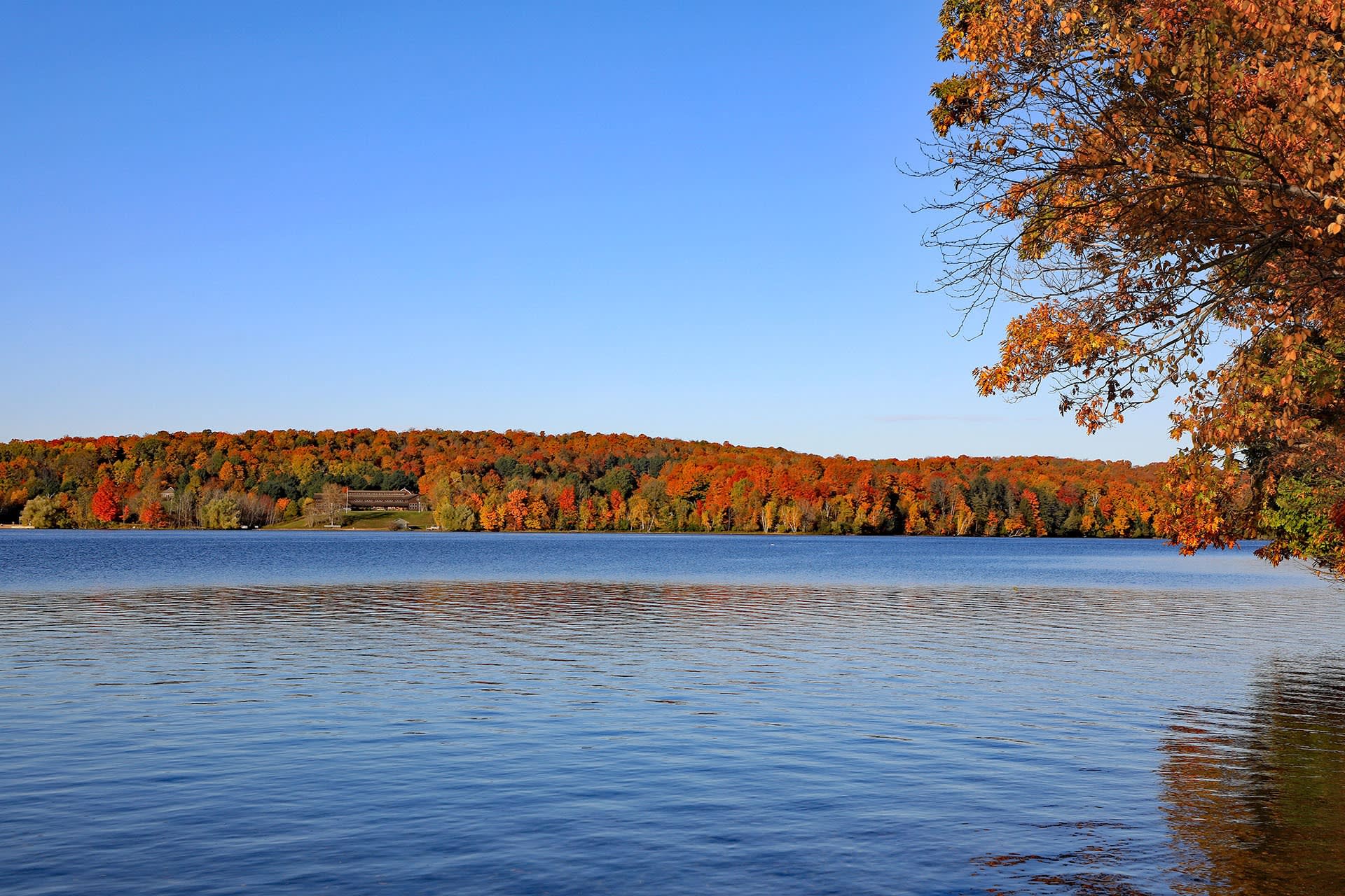 Walloon Lake inception-app-prod/YzllNTNmNDUtZTAxOC00N2JmLThjYTItMWVmOGMyODQ2MGYy/content/2021/02/shutterstock1832743363.jpg