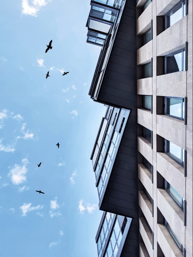 FREE Comparative Market Analysis for Sellers inception-app-prod/ZTAxYzc5OTgtMTJiOC00Zjc0LThkYTAtYzAwMGJjMjZhYzA0/content/2020/09/photo-1567016251318-c85cc6f139c9.jpg