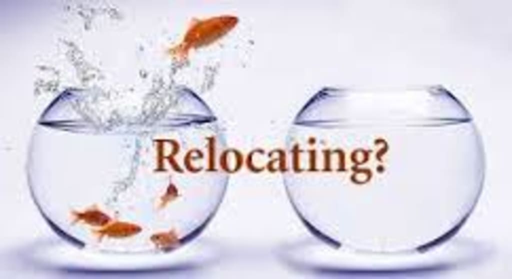 Relocating to the Big City inception-app-prod/MTQxNTRiNjEtYTczNC00MGNkLWFmYzEtNDNhZGI1ZmFhNGZi%2Fmedia%2F2015%2F02%2Frelocating.jpg